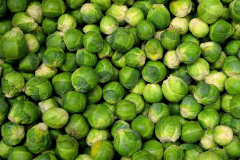 Image of Brussels Sprouts 